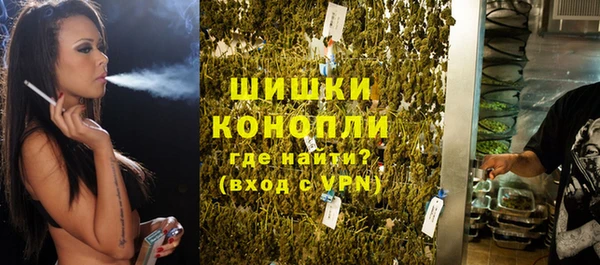 jwh Пересвет