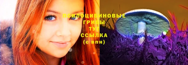 соль курить ск Богданович